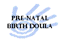 Prenatal/Birth Doula